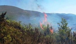 Campagna antincendio boschivo - prescrizioni e divieti nelle zone boscate - D.G.R. n. 381 del 01.07.2019